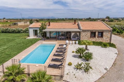 Finca in Sa Pobla, Mallorca - Foto 1
